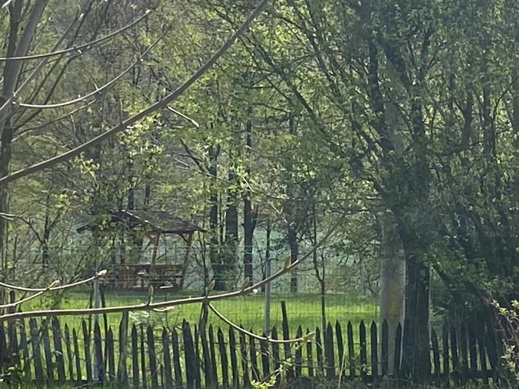 Teren de 1220 mp, în Teșila