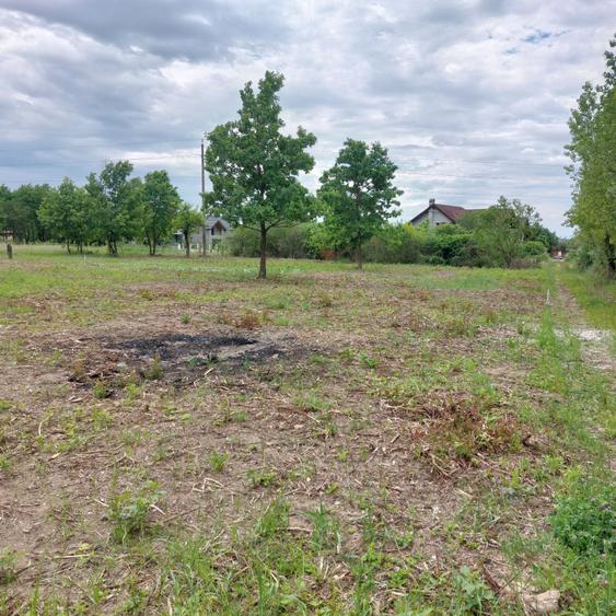 Spațiu comercial, în Tăuții-Măgherăuș