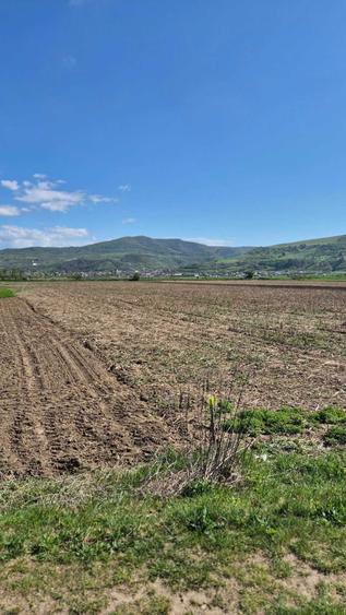 Teren de 1000 mp, în Gherla