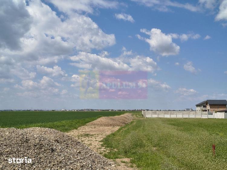 Teren de 12450 mp, în Cernica