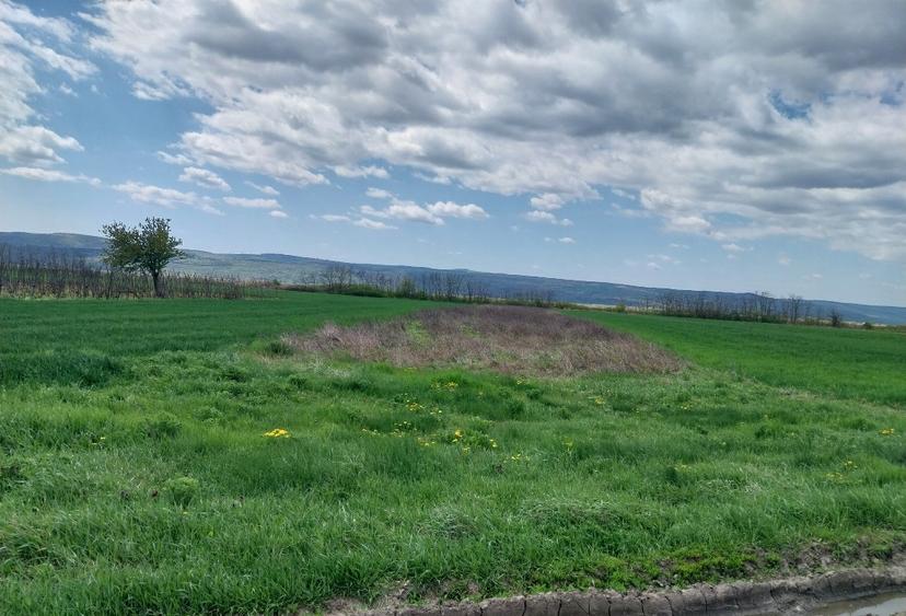 Teren agricol extravilan de 3600 mp, în Prisăcani