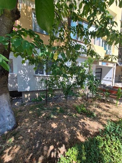 Garsonieră decomandată, mobilată în Găvana 3