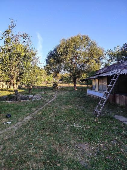 Casă cu 6 camere cu Teren 5000 Mp în Pietroșani
