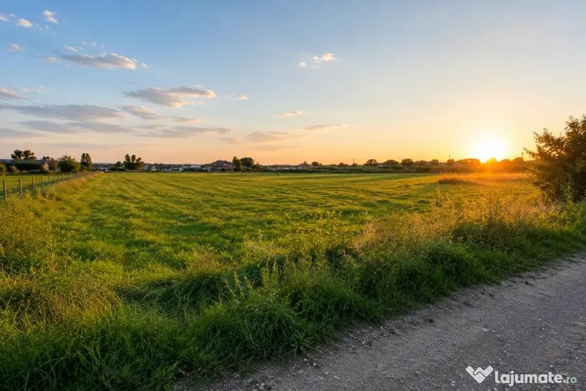 Teren de 5800 mp, în Filipeștii de Târg