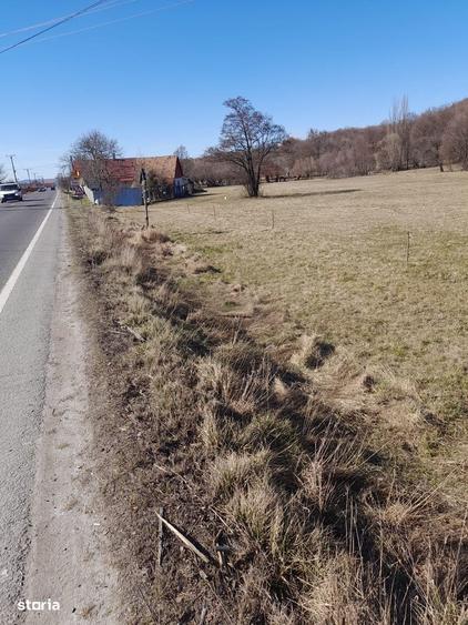Teren de vanzare, 9.680 mp, comuna Deda, jude?ul Mure? - 4