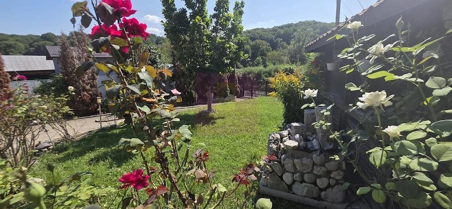 Casă cu 4 camere cu Teren 763 Mp în Mislea
