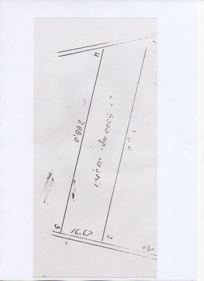 Teren agricol extravilan de 5000 mp, în Exterior Vest