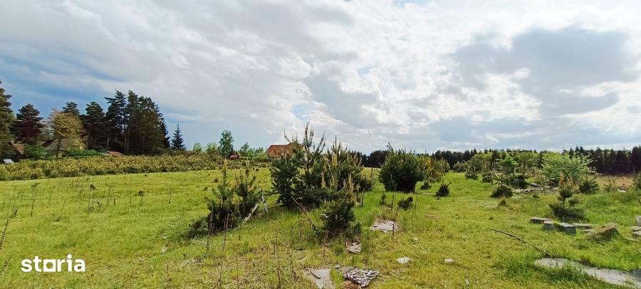 Teren de 1445 mp, în Reci