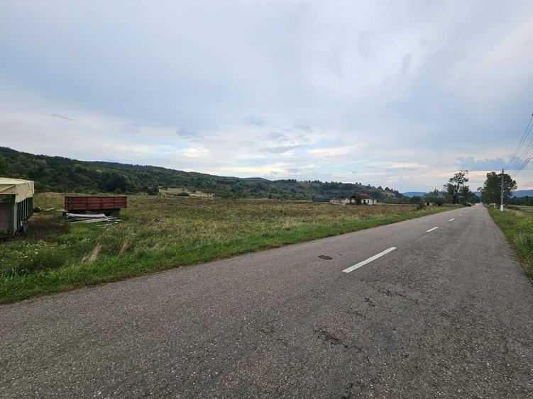 Teren Construcții intravilan de 47430 mp, în Petriș