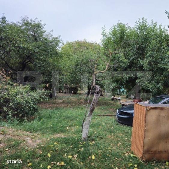 Spațiu comercial, în Viforâta