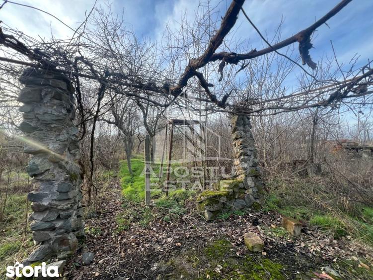 De vanzare casa de vacanta in Charlotemburg jud Timis - 5
