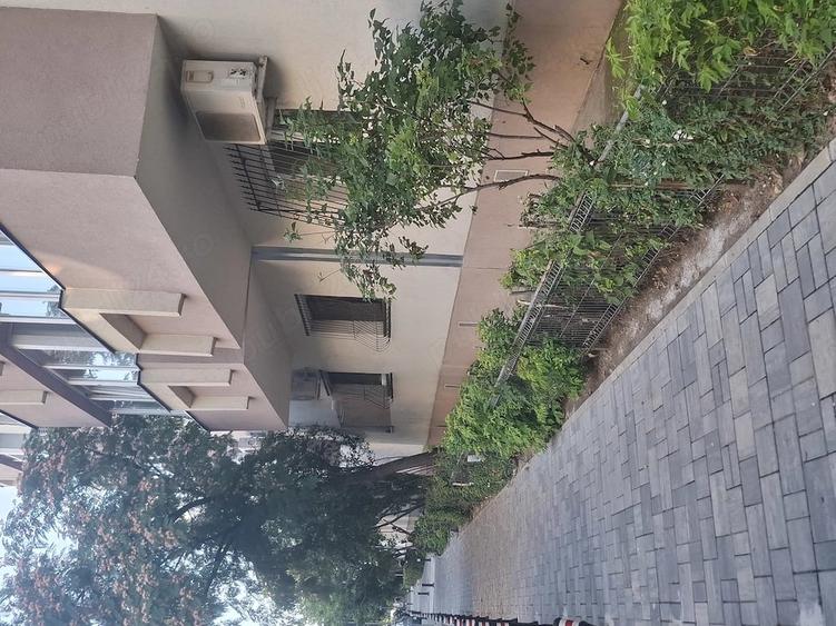 Apartament cu 2 camere decomandat în Lacul Tei