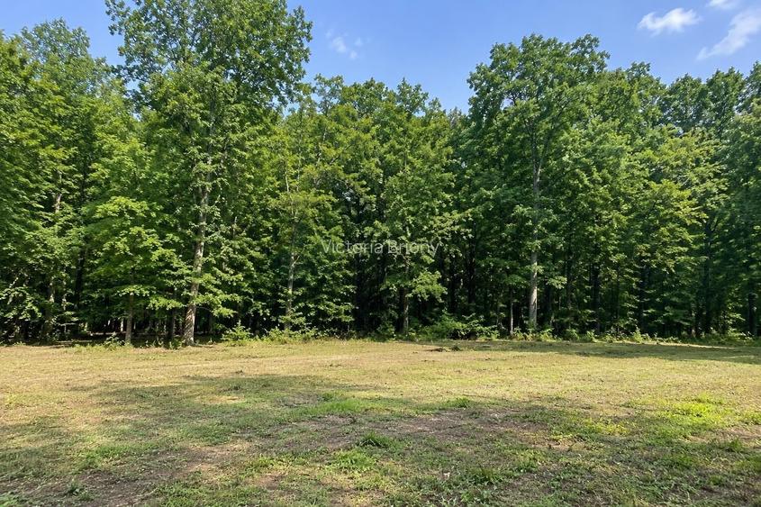 TEREN PREMIUM DE VÂNZARE | TUNARI – PRIMA LINIE LA PĂDURE