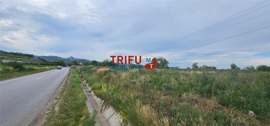 Teren Construcții intravilan de 9087 mp, în Ighiu