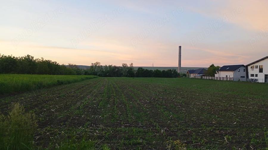 Teren de 500 mp, în Lisaura