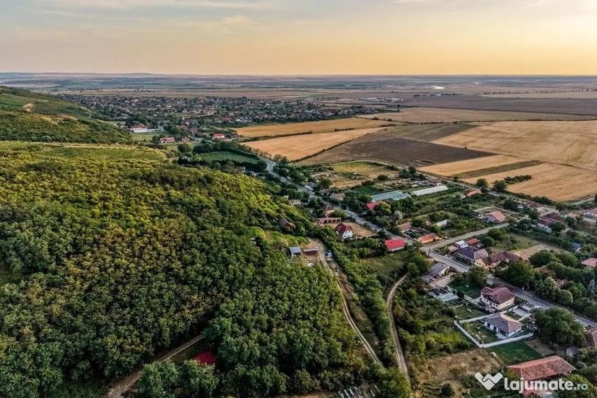 Teren în Miniș