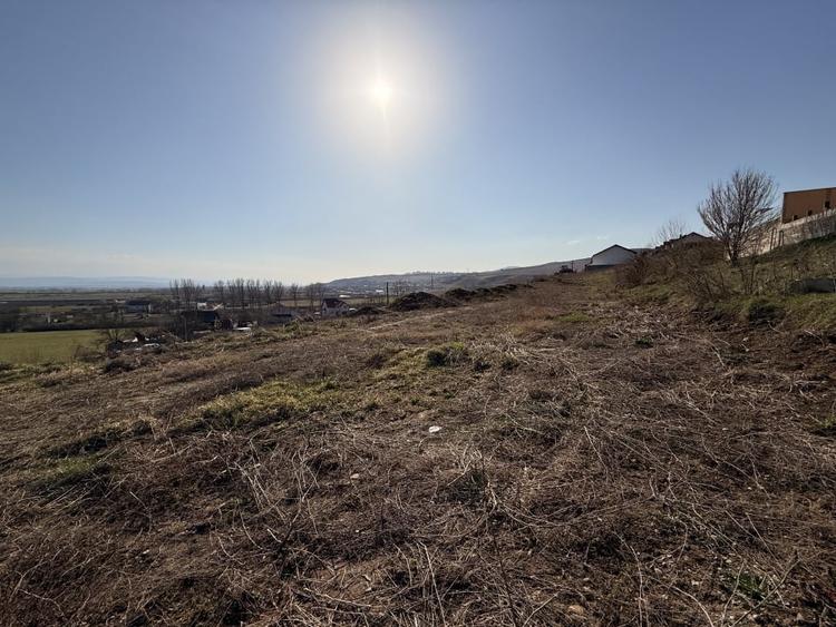 Teren Construcții intravilan de 5600 mp, în Cetate