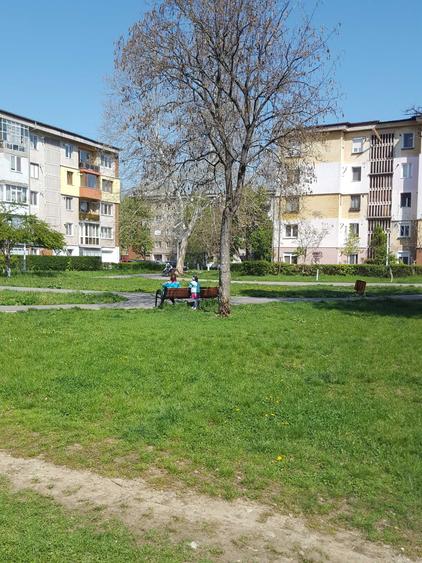 Spațiu comercial, în Almașu Mic