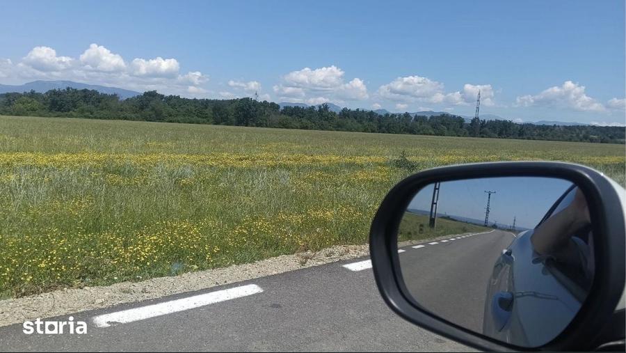 Teren de 5000 mp, în Central