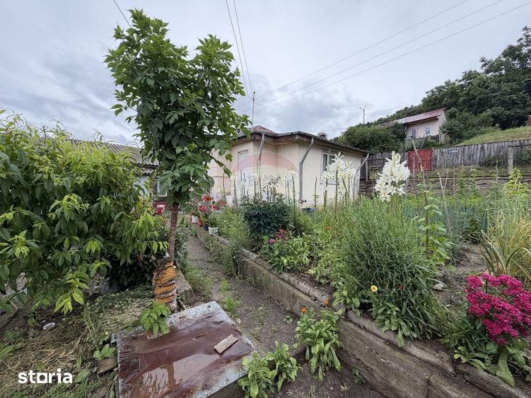 Casă cu 3 camere cu Teren 315 Mp în Nord