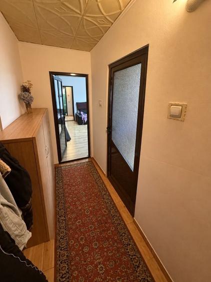 Apartament cu 2 camere semidecomandat în Craiovița Nouă