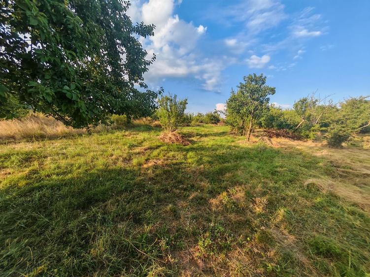 Teren Construcții intravilan de 1600 mp, în Exterior Nord