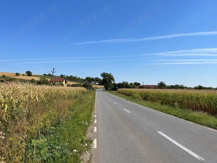 Teren de 10000 mp, în Central