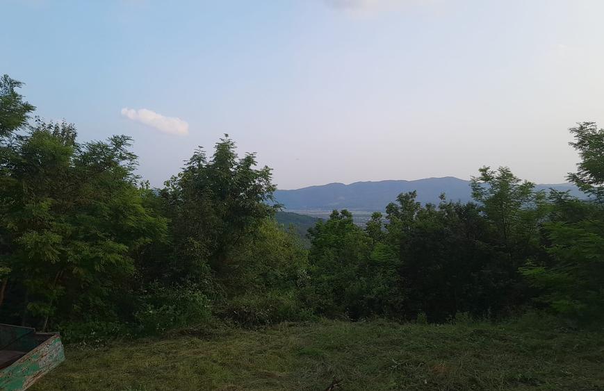 Casă individuală cu 5 camere cu Teren 9515 Mp în Șerbănești (Sălătrucel)