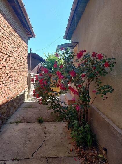 Casă cu Teren 1900 Mp în Zăgujeni