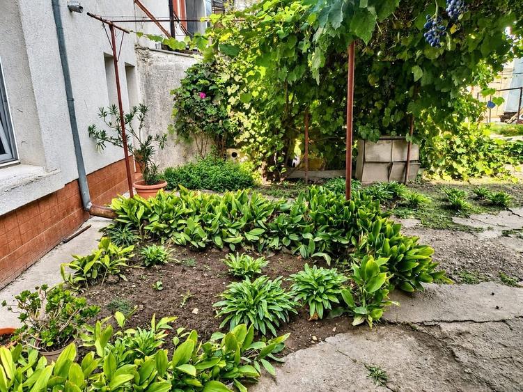 Casă individuală cu 3 camere cu Canalizare în Ultracentral