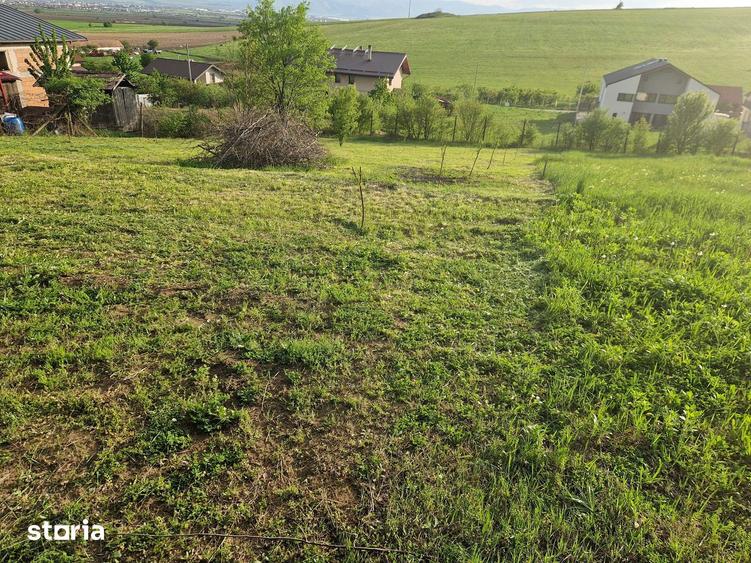 Teren de 1250 mp, în Șura Mare