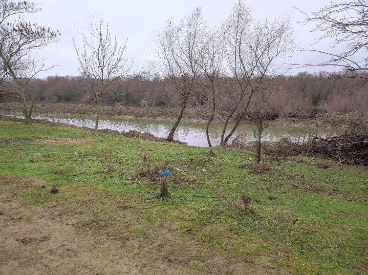Teren de 8140 mp, în Băltenii de Jos