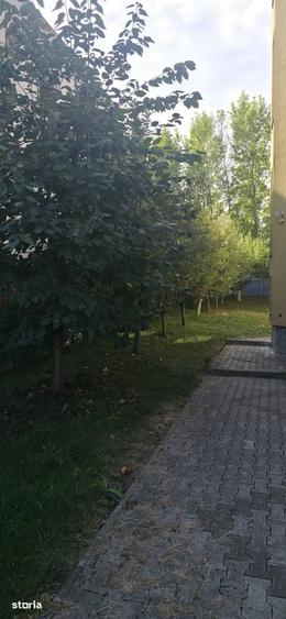 Apartament cu 3 camere în Zorilor