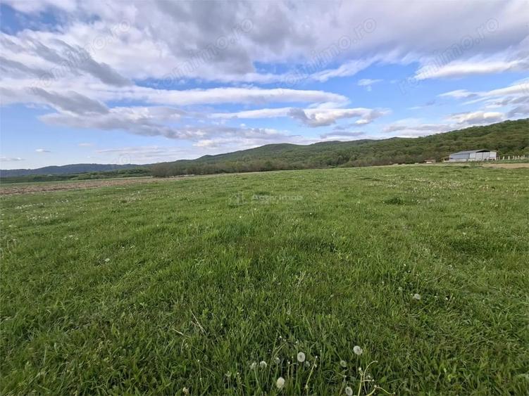 Teren de 923 mp, în Periferie