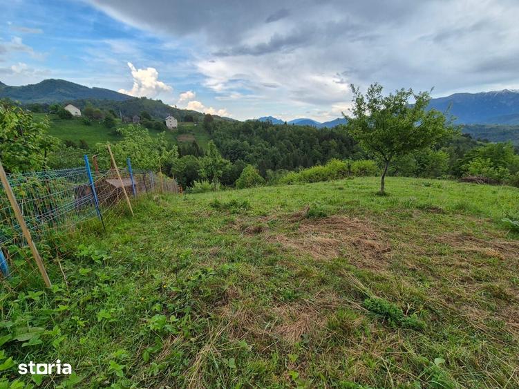 Teren de 3456 mp, în Moieciu