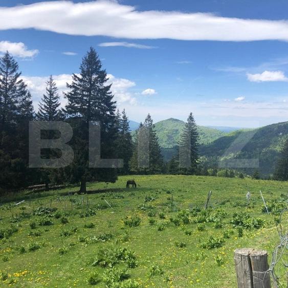 Teren Construcții intravilan de 10000 mp, în Exterior Est