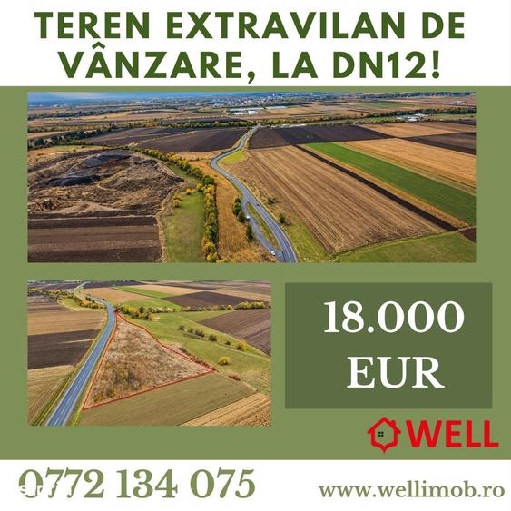 Teren de 11300 mp, în Valea Crișului