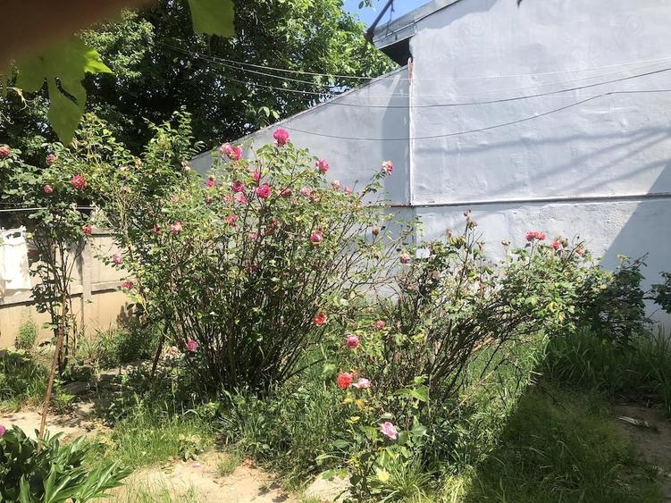 Proiect casa pe pamant necesita renovare totala, curte 85 mp, garaj+anexa - 7