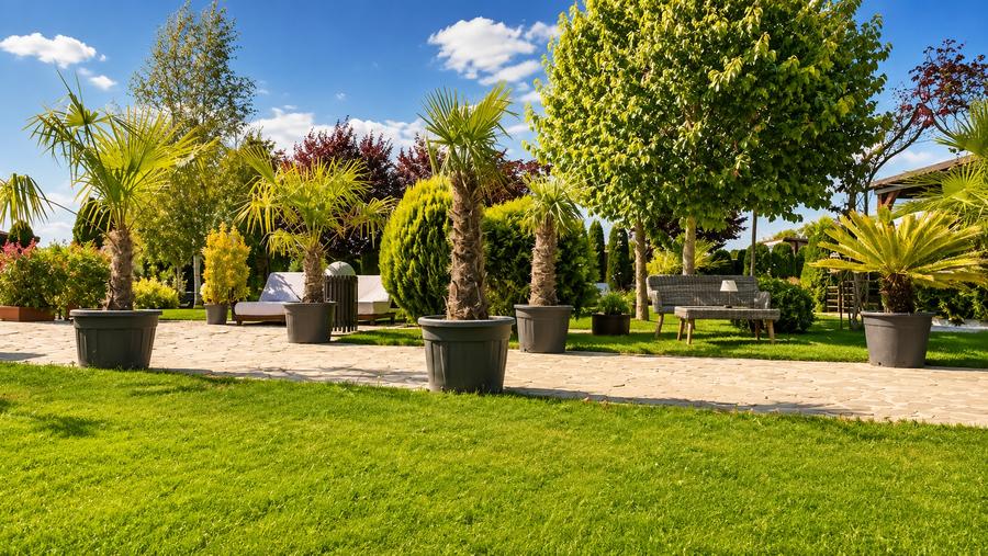 Casă individuală cu 7 camere cu Piscina în Podu Oltului