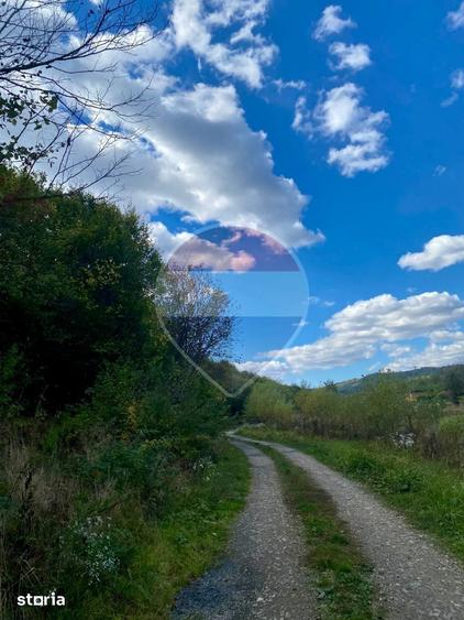 Teren de 2000 mp, în Dumbrăvița