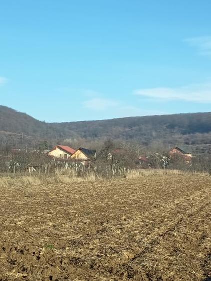 Teren intravilan de vanzare - 7