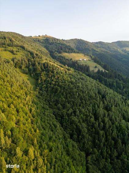Teren de 600 mp, în Măguri