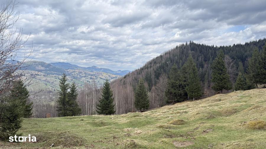 Teren de 10270 mp, în Sadova