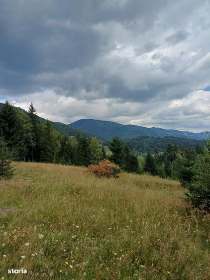 Teren de 15000 mp, în Câmpu lui Neag