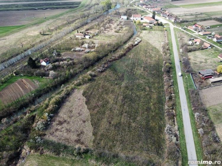 Teren de 22500 mp, în Balinț
