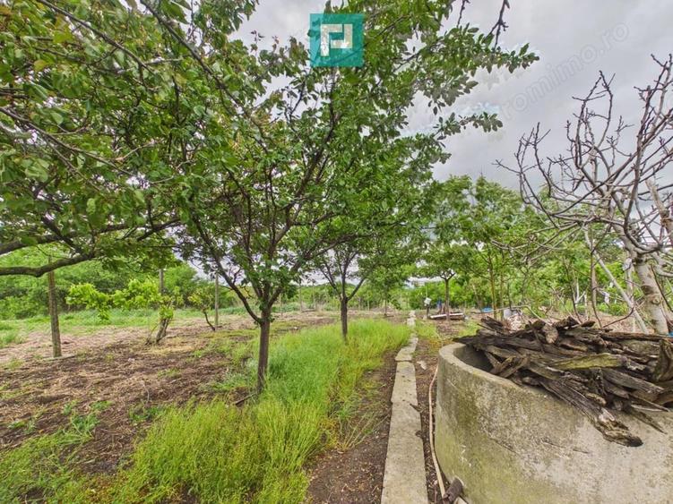 Casă cu 3 camere cu Teren 1048 Mp în Aradul Nou