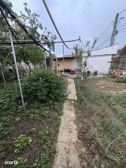 Casă cu 1 camere cu Teren 300 Mp în Central