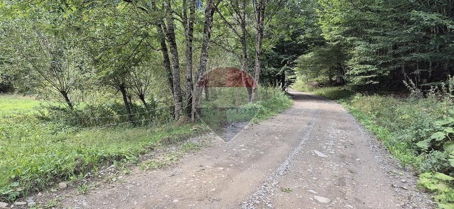 Teren de 2800 mp, în Schitu Tarcău