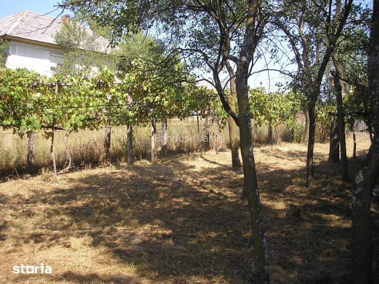 Zona Codrului, la numai 43 Km de Municipiul Baia Mare !