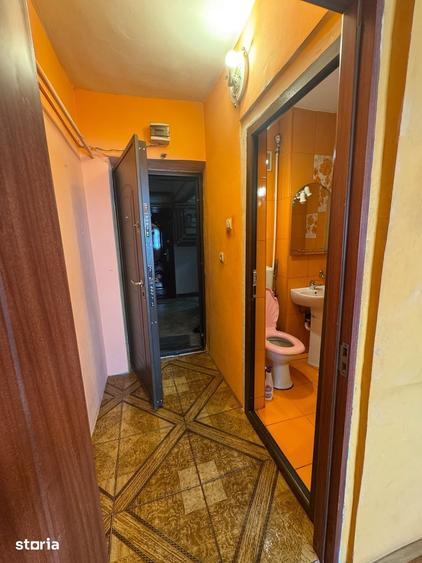 Garsonieră în Lotrului
